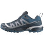 Чоловічі черевики Salomon X Ultra 360 Gore-Tex