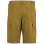 Чоловічі шорти Regatta Ruwan Shorts
