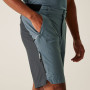 Чоловічі шорти Regatta Eldes Shorts