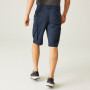 Чоловічі шорти Regatta Shorebay Short