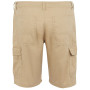 Чоловічі шорти Regatta Ruwan Shorts