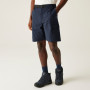 Чоловічі шорти Regatta Mallen Shorts