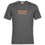 Чоловіча футболка Icebreaker Tech Lite II SS Tee Mountain Geology сірий