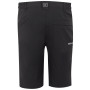 Чоловічі шорти Regatta Highton Shorts Long II
