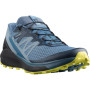 Чоловічі черевики Salomon Sense Ride 4