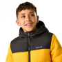 Дитяча зимова куртка Regatta Lofthouse Black/Mustard