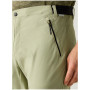 Чоловічі штани Regatta Mountain Z/O Trousers