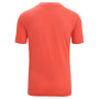 Чоловіча функціональна футболка Icebreaker Men ZoneKnit™ SS Tee GEODETIC