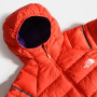 Жіноча пухова куртка The North Face W Speedtour Down Hoodie
