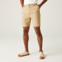 Чоловічі шорти Regatta Dalry Short
