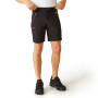 Чоловічі шорти Regatta Xert Stretch Shorts III