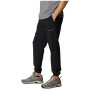 Чоловічі спортивні штани Columbia Hike™ Jogger