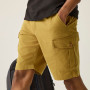 Чоловічі шорти Regatta Ruwan Shorts