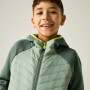 Дитяча куртка Regatta Junior Andreson Hybrid