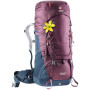 Dámský batoh Deuter Aircontact 50+10 SL vínová blackberry-navy