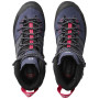 Жіночі черевики Salomon X Alp High Ltr Gtx W