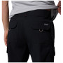 Чоловічі штани Columbia Tech Trail™ Utility Pant