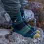 Чоловічі шкарпетки Darn Tough Willoughby Micro Crew Lightweight With Cushion