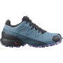 Жіночі черевики Salomon Speedcross 5 GTX W