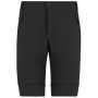 Чоловічі штани Regatta Mountain Z/O Trousers