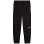 Чоловічі спортивні штани The North Face M Mountain Athletics Fleece Pant 2.0