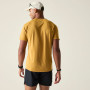 Чоловіча футболка Dare 2b Tech II Tee
