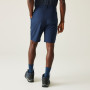 Чоловічі шорти Regatta Dalry Short