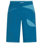 Чоловічі шорти La Sportiva Belay Short M