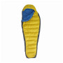 Пуховий спальник The North Face Gold Kazoo