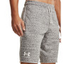 Чоловічі шорти Under Armour Rival Terry Short