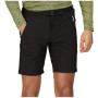 Чоловічі шорти Regatta Xert Stretch Shorts III