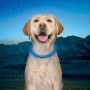 Світловий нашийник для собаки Nite Ize NiteHowl® Rechargeable LED Safety Necklace