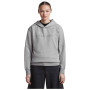Жіноча кофта Icebreaker W Mer 360 RealFleece Elemental LS Hood