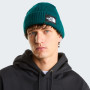 Шапка The North Face Salty Lined Beanie