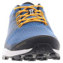 Чоловічі черевики Inov-8 Roclite 290 M