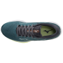 Чоловічі черевики Mizuno Wave Rider 25