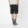 Чоловічі шорти Salomon Outerpath Utility short