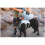 Шлея для собаки Ruffwear Palisades™ Pack