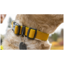Нашийник для собаки Ruffwear Hi & Light™ Collar