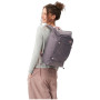 Рюкзак Aevor Day Pack FLX