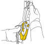 Карабін Petzl Rollclip A Triact-Lock