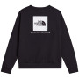 Чоловіча толстовка The North Face M Evolution Box Nse Regular Crew