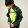 Дитяча толстовка Regatta Junior Newhill DrkForGlacGr