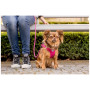 Повідець для собаки Curli Stretch Comfort Leash