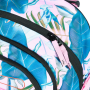 Шкільний рюкзак Baagl Skate