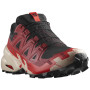 Чоловічі кросівки Salomon Speedcross 6 Gore-Tex чорний/червоний Black / Red Dalhia / Poppy Red