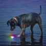 Іграшка для собак Nite Ize Glowstreak LED Ball