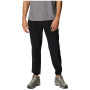 Чоловічі спортивні штани Columbia Hike™ Jogger чорний