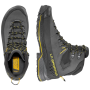 Чоловічі черевики La Sportiva TX5 Evo Mid GTX