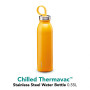 Термопляшка Aladdin Chilled Thermavac™ 550ml